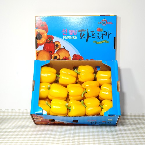 노랑파프리카 5kg